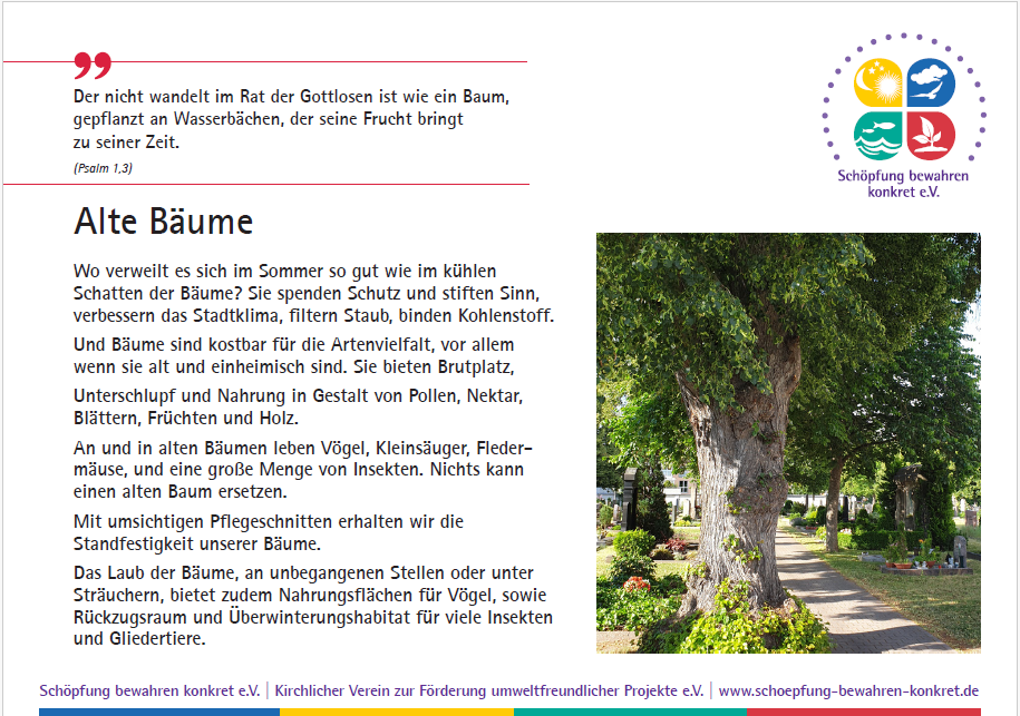 Die Tafel "Alte Bäume" wird als Beispiel gezeigt: Text, Bild und Bibelspruch.