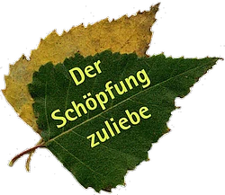 stiftung logo 250
