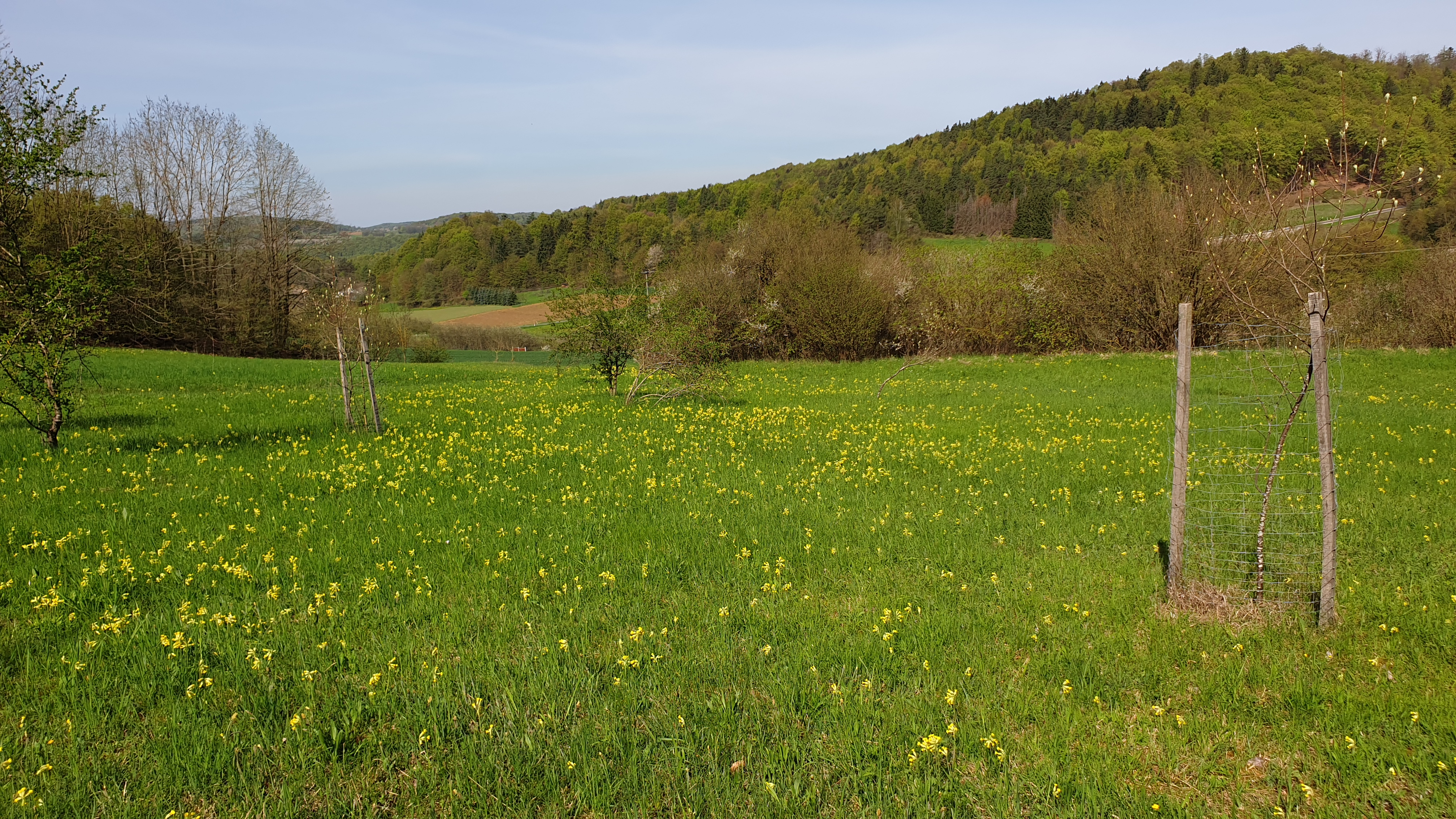 Affalterthal