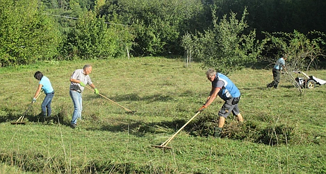 Eine Wiese mit hohem Graswuchs. Vier Personen mähen das Gras ab und rechen das Heu mit Holzrechen zusammen.