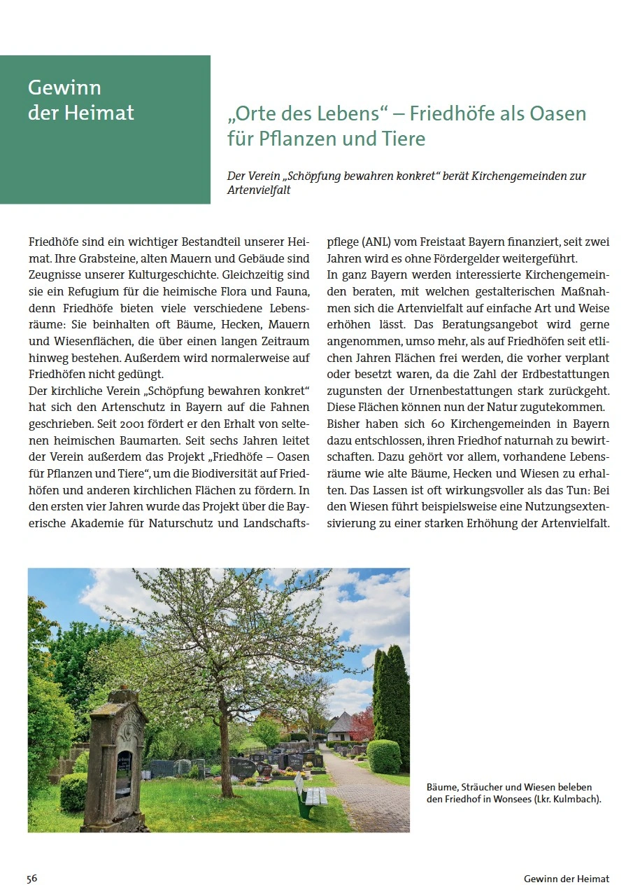 Die erste Seite des Artikels in der Zeitschrift schöne Heimat