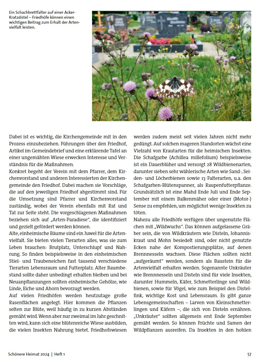 Die zweite Seite des Artikels in der Zeitschrift schöne Heimat