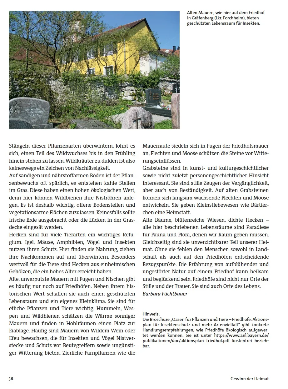 Die dritte Seite des Artikels in der Zeitschrift schöne Heimat