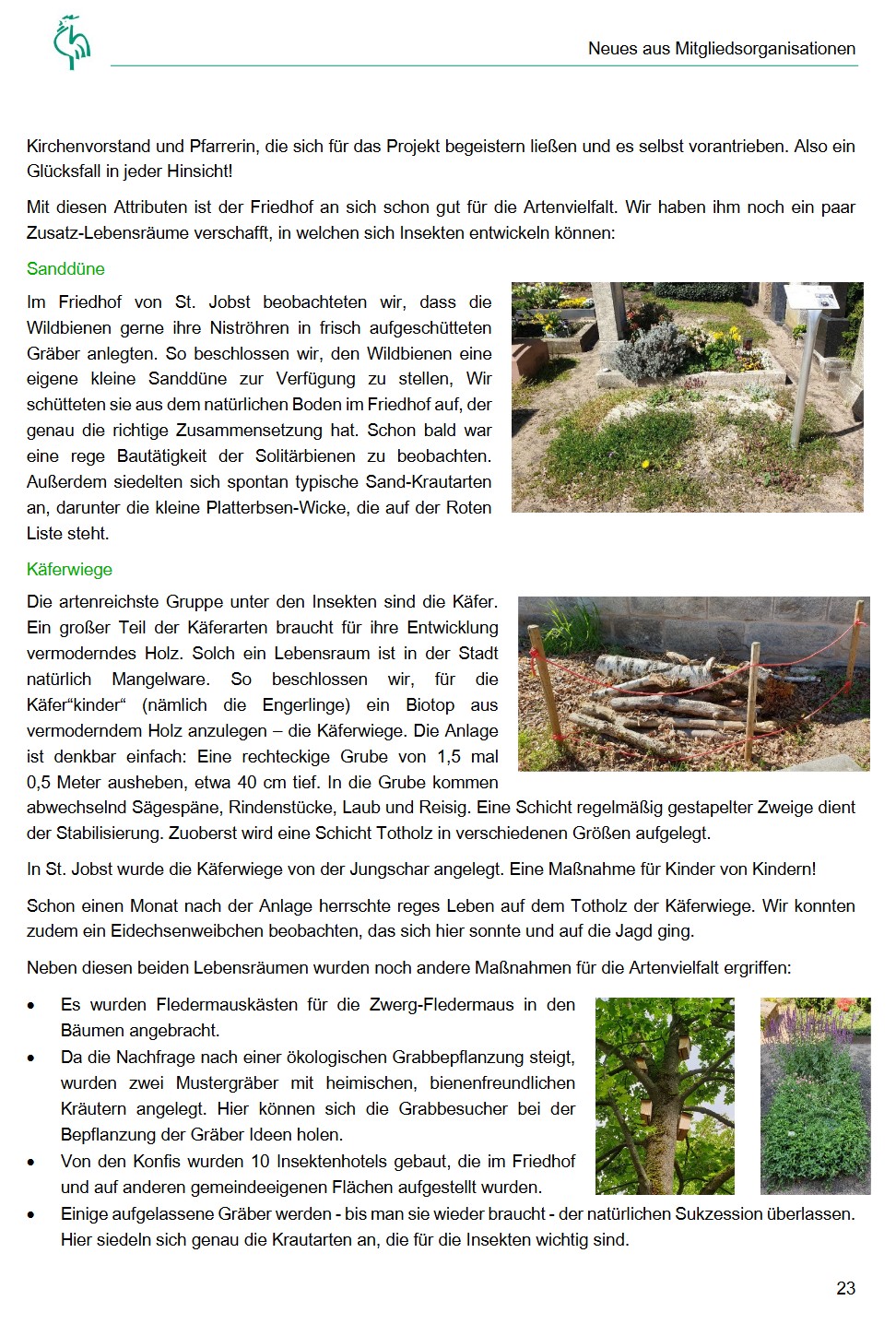 Seite 2 des Kirum Berichtes