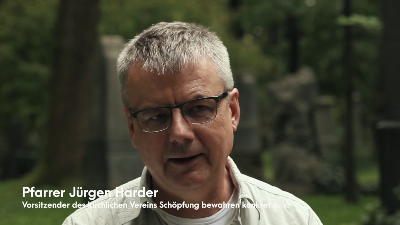 Youtube Vorschau - Video ID 3B2KlvG8AAM