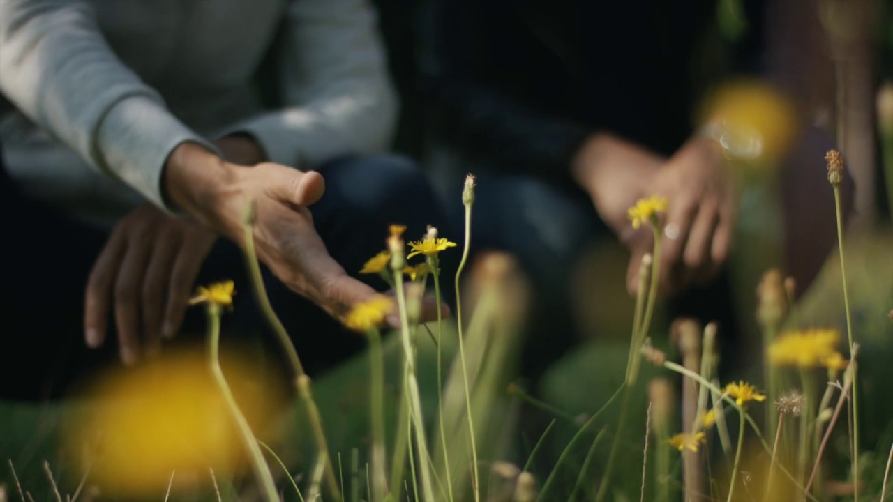 Youtube Vorschau - Video ID MaFkI_337yw